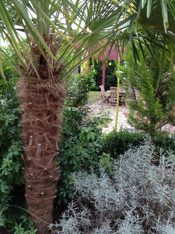 Les Jardins Carnot Compiègne Quarto foto